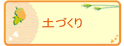 �y�Â���