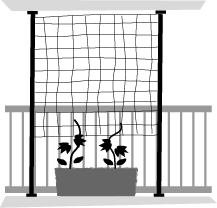 �l�b�g�C���X�g