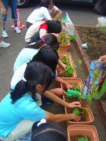 ���쏬�w�Z�A������