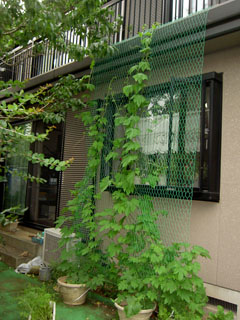 �S�[���M�������[07-1