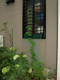 �S�[���M�������[07-2