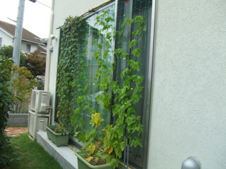 �S�[���M�������[08-1