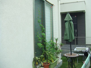 �S�[���M�������[08-2