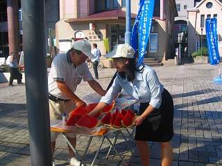 �X�C�J���U�����Ă���ʐ^