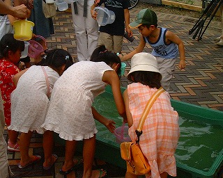 �������񏤓X�X�ł̑ł����̎ʐ^