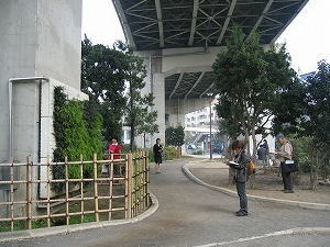 �Ή����@�摜