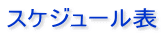 �X�P�W���[���\