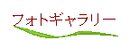 �t�H�g�M�������[