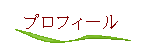 �v���t�B�[��
