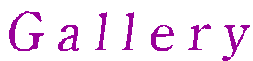 G a l l e r y