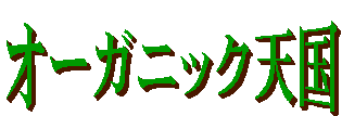 �I�[�K�j�b�N�V��