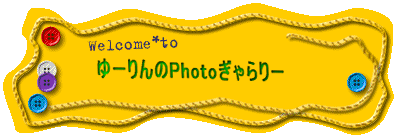 �����Ȏʐ^���Ăˁ`��